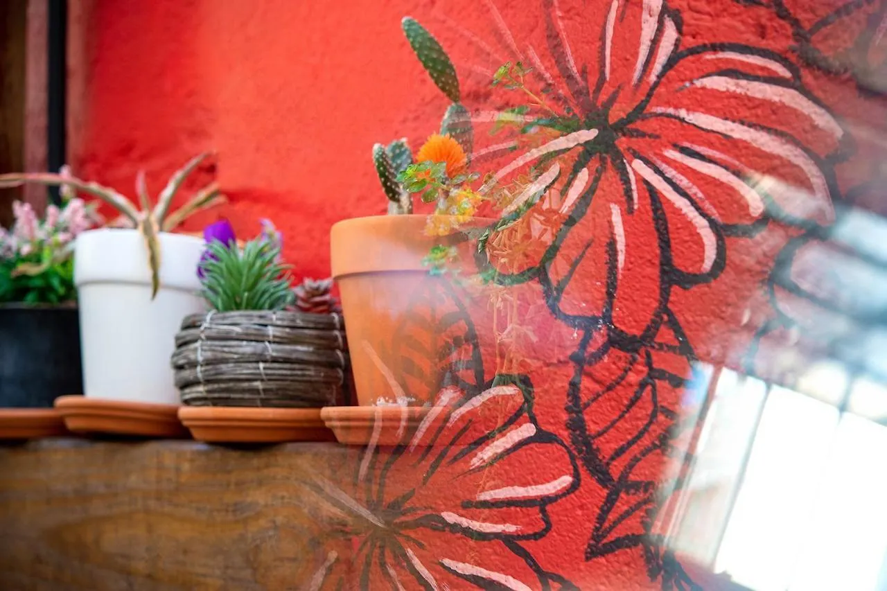 Tapia Haus 103 - Beach Vibes Within Walking Distance Сан-Хуан Отель